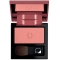 Powder Blush N. 29