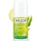 Deo Roll-On Lemon - Perfumed deodorant 50 Ml