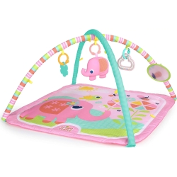 Fanciful Flowers - Activity gym