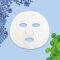 Blue Mask Detoxifying mask