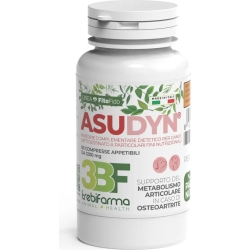Asudyn supplementary food tablets for dogs and cats 60 tablets