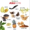 Asudyn supplementary food tablets for dogs and cats 60 tablets