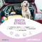 Lactorlax Jelly Complementary feed for dogs and cats 6 Jellies