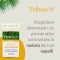 Triben M Male hairs supplement 60 vegetable capsules
