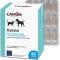Hybrid - Complementary feed for bad breath in cats and dogs 60 tablets