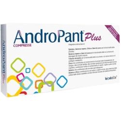 Andropant Plus - Urinary Tract Health 30 tablets