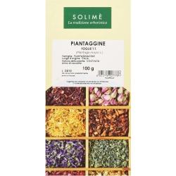 Plantain leaves - Herbal tea 100 g