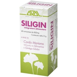Siligin - Natural Pain Relief Supplement 60 tablets