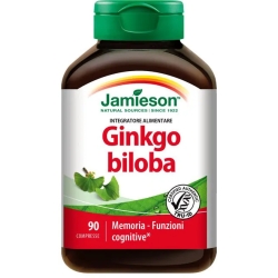 Ginkgo Biloba 120 TM - Brain Health Supplement 90 tablets