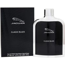 Classic - Eau de Toilette for men 100 ml Vapo