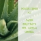dry hair conditioner with Aloe 200 ml