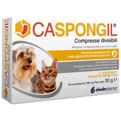 Caspongil Plus 30 Tablets - Complementary feed