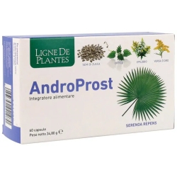 Androprost - Urinary Tract Health Supplement 60 capsules