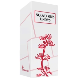 Nuovo Ribes Linda's - Lung Health Supplement 50 ml