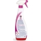 WC Schiumattiva - Bleach Spray Detergent 625 ml