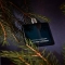 Secret Woods - eau de parfum for men 100 Ml spray