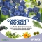 Oftavex - Complementary Feed For Dogs And Cats 50 tablets