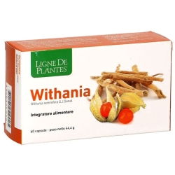 Withania - Mood and Sleep Supplement 60 capsules