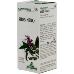 Gemmosol 36 Ribes Nigrum - Lungs health supplement 100 ml