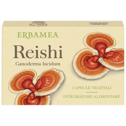 Reishi - Immune Support Supplement 24 capsules