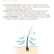 Purifying - Gentle anti-smog shampoo for all hair types 300 ml