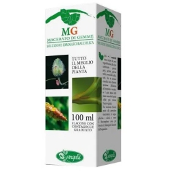 Betula Verrucosa - Cholesterol Levels Supplement 100 ml drops