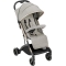 Compass 2.0 - Stroller 202 antracite