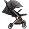 Compass 2.0 - Stroller 202 antracite
