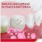 Original - daily toothpaste 75 ml