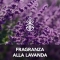 Raid Liquid Lavender - electric diffuser refill