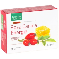 Rosa Canina Energie Bio - Tonics Supplement 10 Ampoule