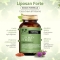 Salugea Liposan Forte - Cholesterol Levels Supplement 60 Capsules