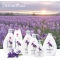 Iris - body wash perfumed skin 650 Ml