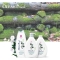 White musk - body wash perfumed skin 650 Ml