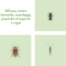 Essential Cockroaches and Ants - Insecticide 400 ml