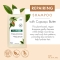 Ristructuring BIO Cupuacu Shampoo 400 ml