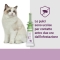 Vectra Felis Spot on - antiparasitic treatments pipettes