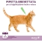 Vectra Felis Spot on - antiparasitic treatments pipettes