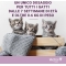 Vectra Felis Spot on - antiparasitic treatments pipettes