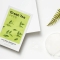 Airy Fit - Korean tissue mask with green tea