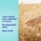 Incontinence Care - 12 soothing and refreshing 2-in-1 intimate wipes