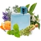 For Him - Eau de Toilette for Men 100 ml spray