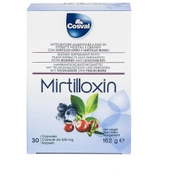 Mirtilloxin - Blood and circulation supplement 30 capsules