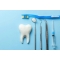 Protection & Cleaning - Toothpaste 65 ml