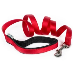 Padded Leash in Nylon 25 Mm X 120 Cm Red