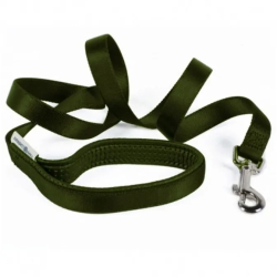 Padded Leash in Nylon 25 Mm X120 Cm Green