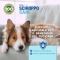 Aloeplus - Syrup for dogs 150 ml