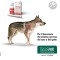 Alevica Liquid - Dogs and cats complementary food 100 ml