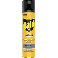Wasps and Hornets spray insecticide 400 ml