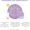 Luna 3 Plus - Sensitive skins Thermotherapy device